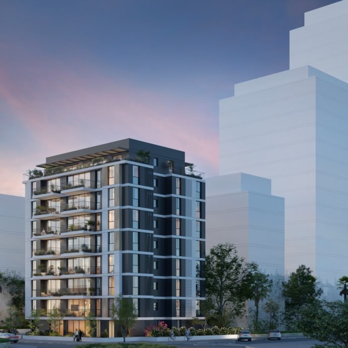 יגאל אלון 2.2